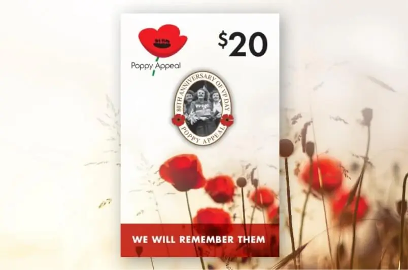 $20 VP Day Pin
